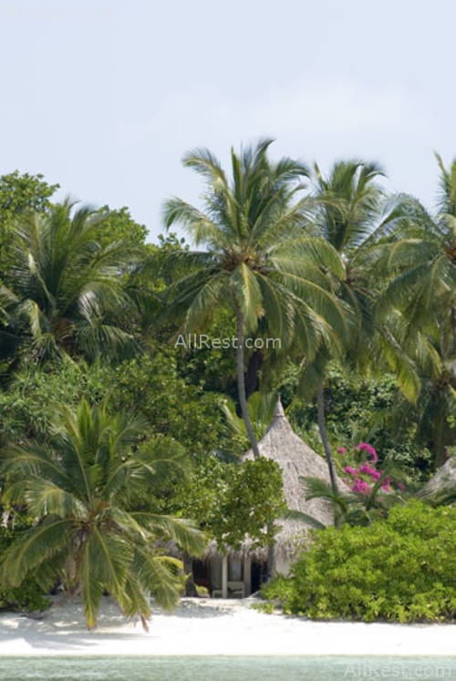 Kuramathi Blue Lagoon 19